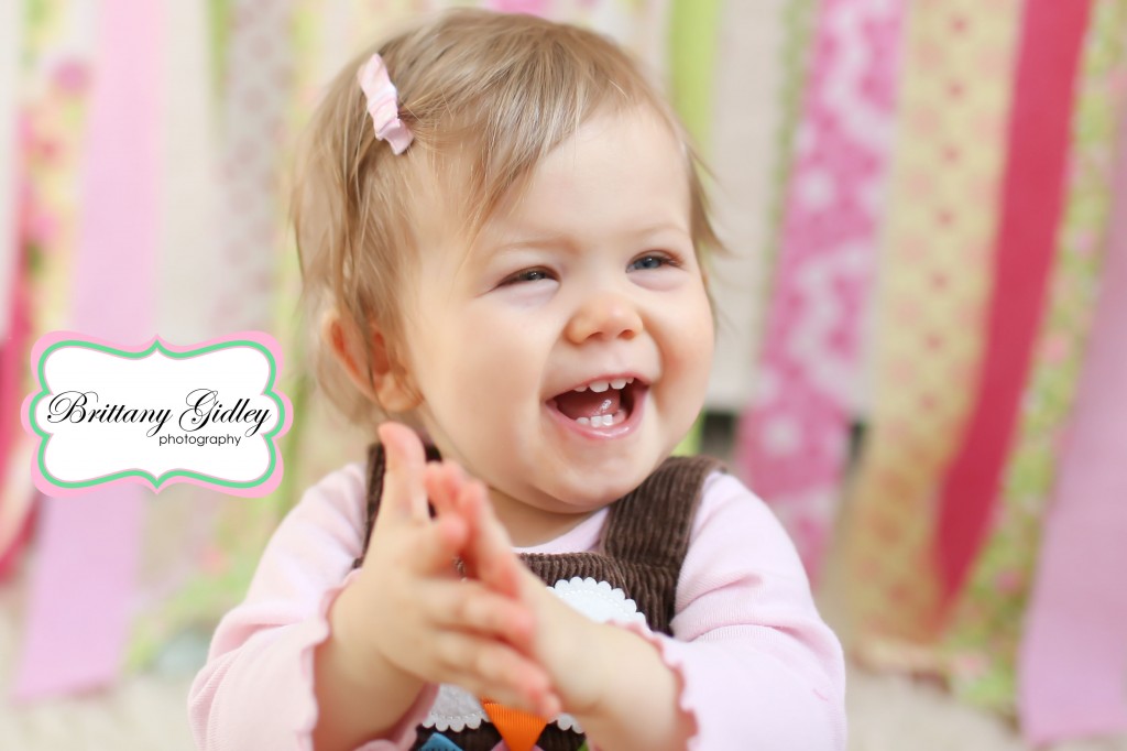 12 Month Baby Pictures | Brittany Gidley Photography LLC