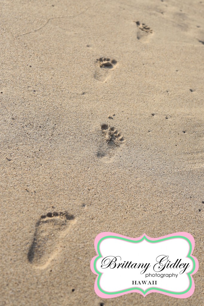 Big Island Hawaii Child Photographer | Brittany Gidley Photography LLC