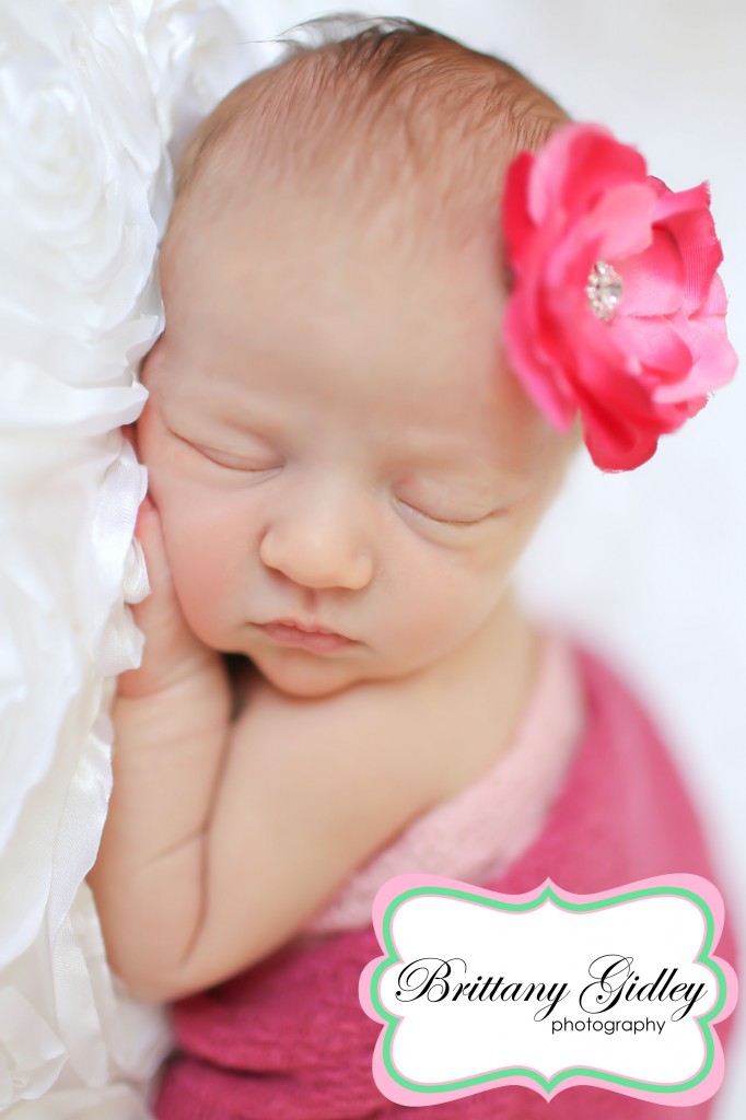 Canton Newborn Photography | Brittany Gidley Photography LLC