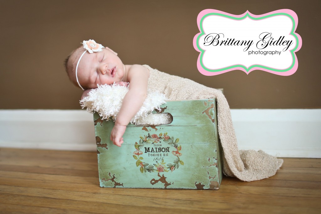 Canton Newborn Photographer | Brittany Gidley Photography LLC