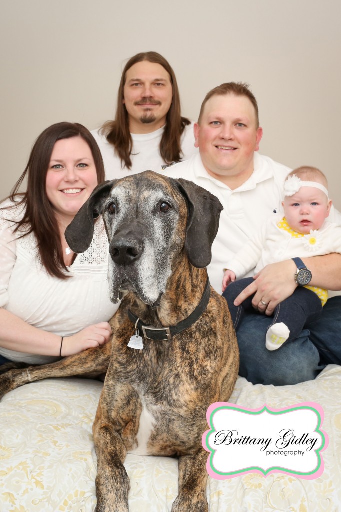 Great Dane With Family | Brittany Gidley Photography LLC Great Dane With Family | Brittany Gidley Photography LLC