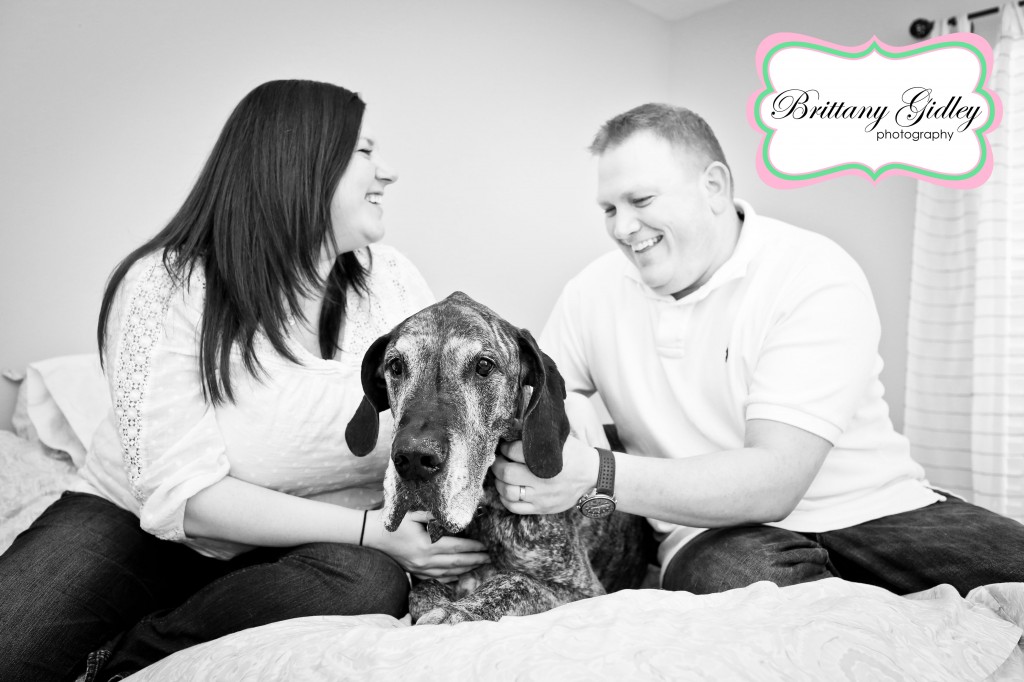 Great Dane | Brittany Gidley Photography LLC Great Dane | Brittany Gidley Photography LLC