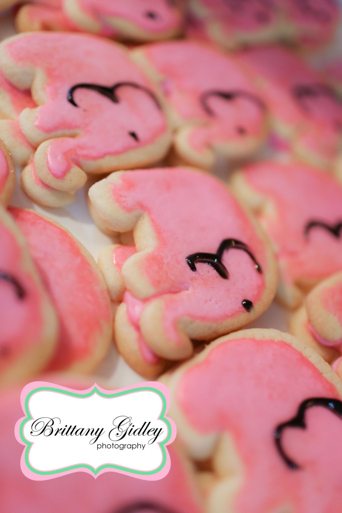 Elephant Themed First Birthday | Brittany Gidley Photography LLC Elephant Themed First Birthday | Brittany Gidley Photography LLC