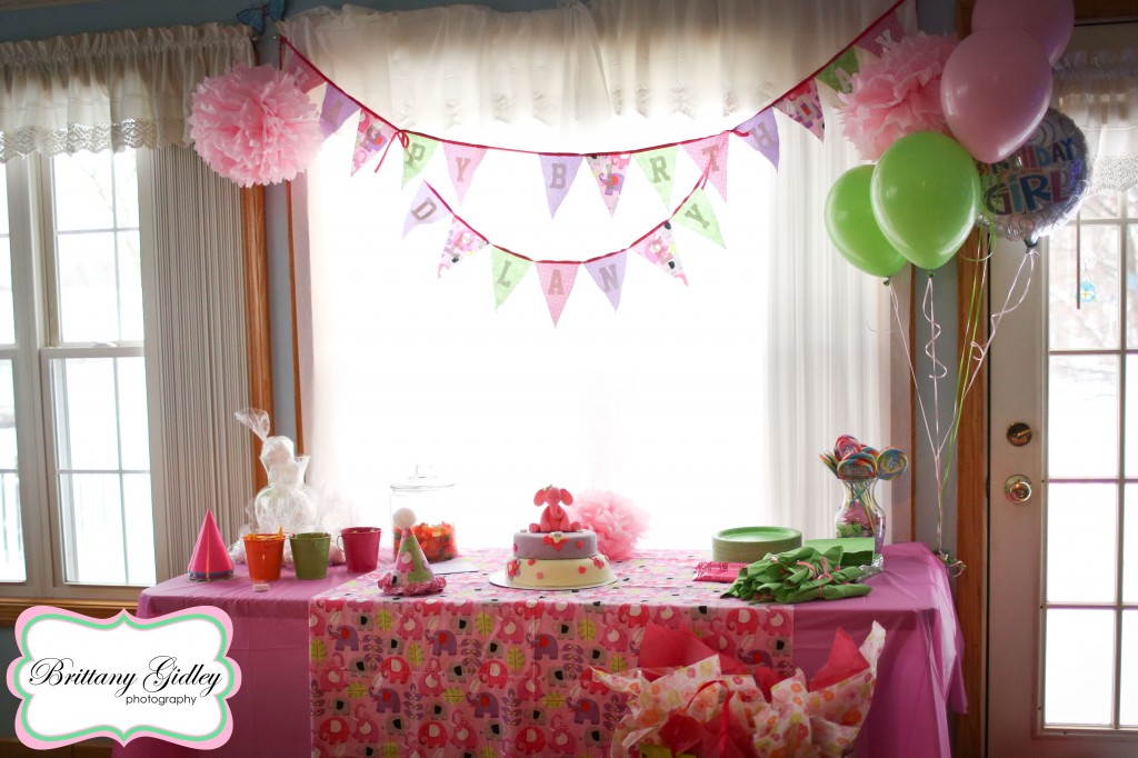 Elephant Themed First Birthday | Brittany Gidley Photography LLC Elephant Themed First Birthday | Brittany Gidley Photography LLC
