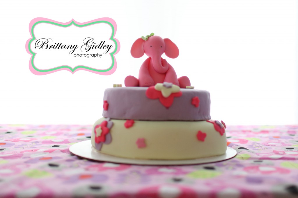 Elephant Themed First Birthday | Brittany Gidley Photography LLC Elephant Themed First Birthday | Brittany Gidley Photography LLC