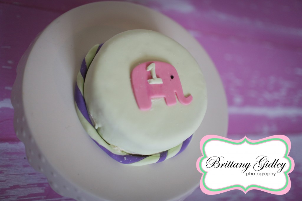 Smash Cake | Brittany Gidley Photography LLC Smash Cake | Brittany Gidley Photography LLC