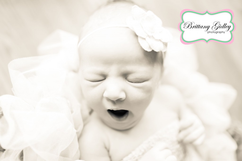 Canton Newborn Photography | Brittany Gidley Photography LLC