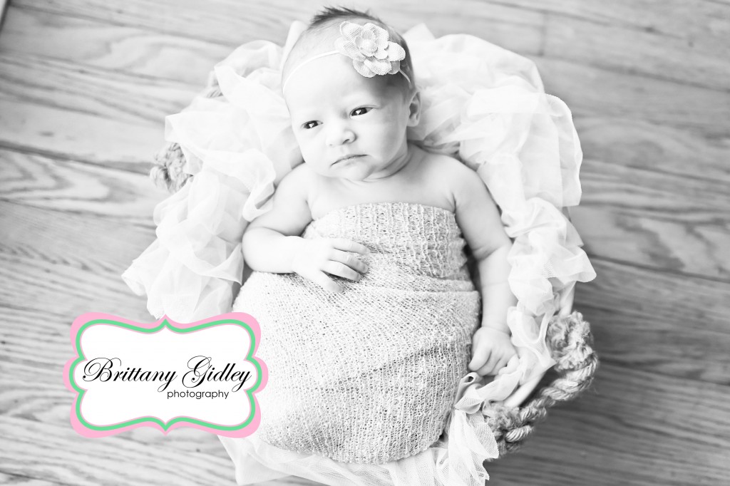 Canton Ohio Newborn Photographer | Brittany Gidley Photography LLC