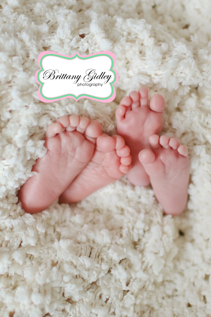Twin Newborn Photography | Brittany Gidley Photography LLC Twin Newborn Photography | Brittany Gidley Photography LLC