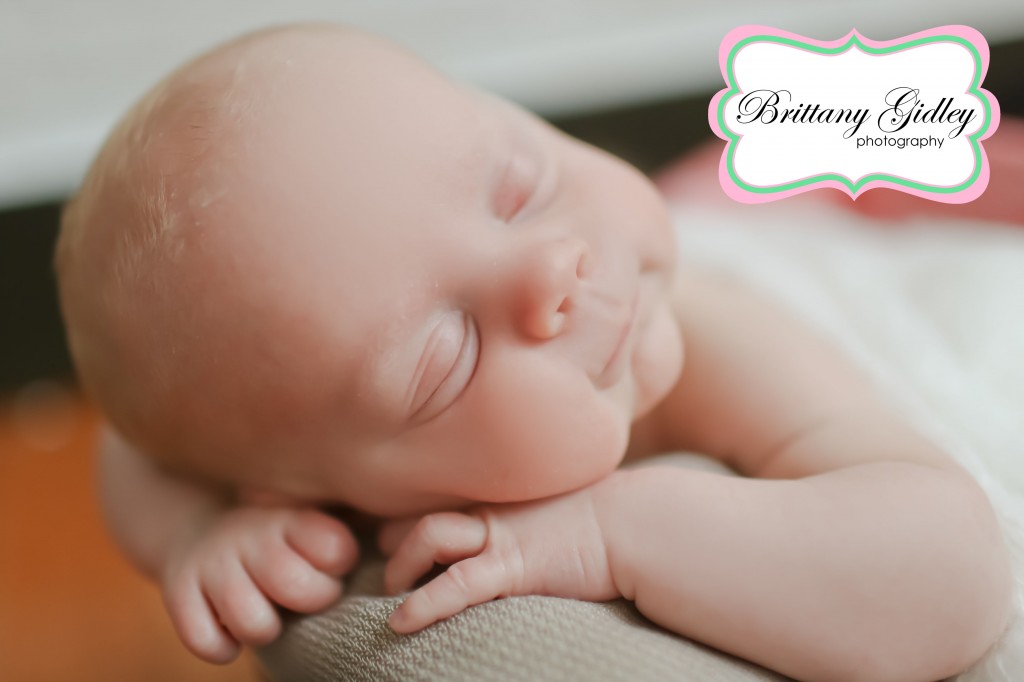 Cleveland Photographer | Brittany Gidley Photography LLC Cleveland Photographer | Brittany Gidley Photography LLC