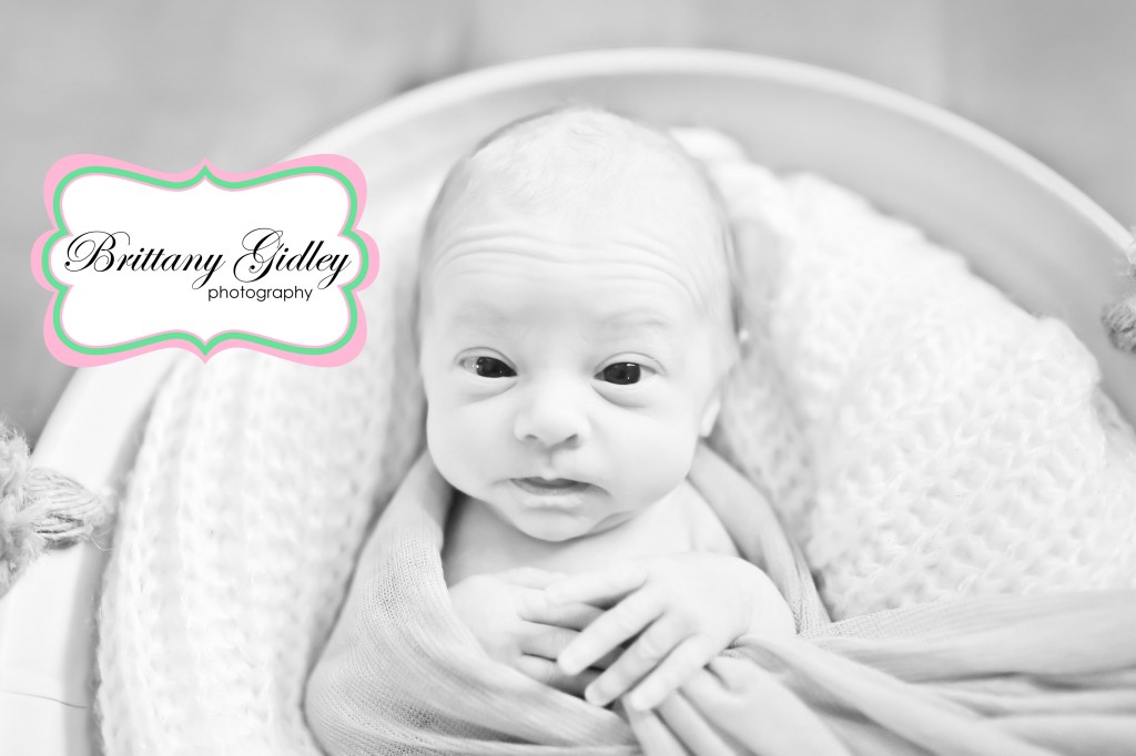 North Ridgeville Newborn Photographer | Brittany Gidley Photography LLC North Ridgeville Newborn Photographer | Brittany Gidley Photography LLC