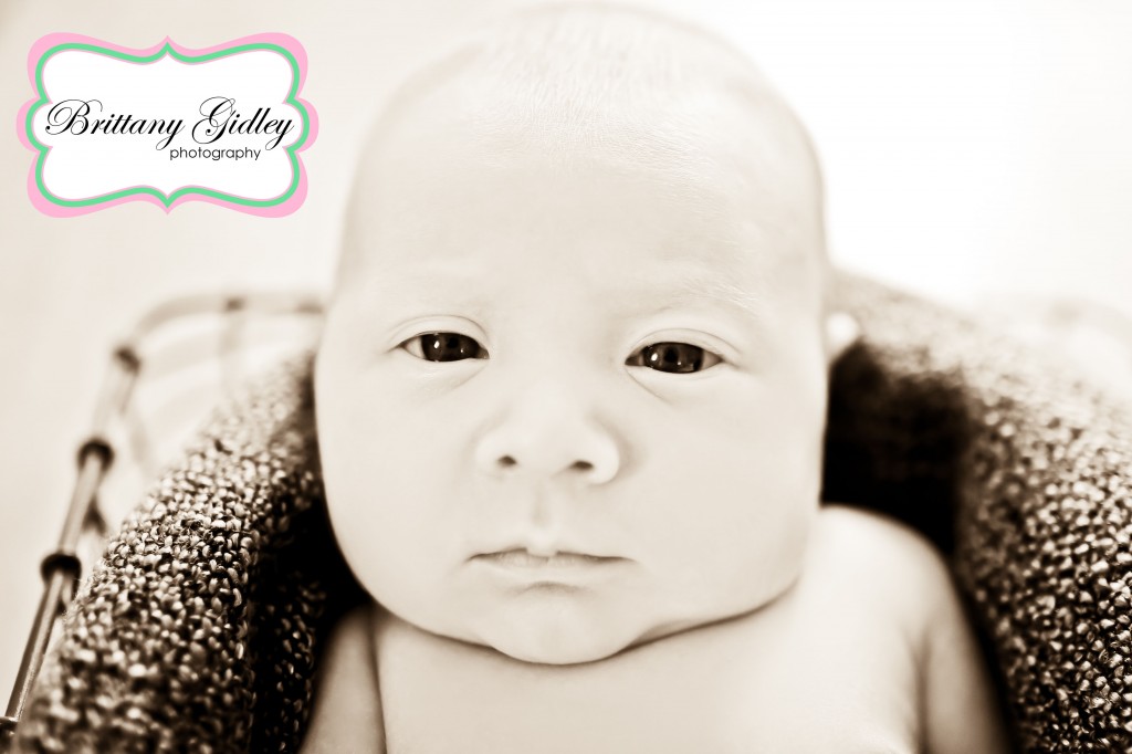 Newborn Baby Portraits | Brittany Gidley Photography LLC Newborn Baby Portraits | Brittany Gidley Photography LLC