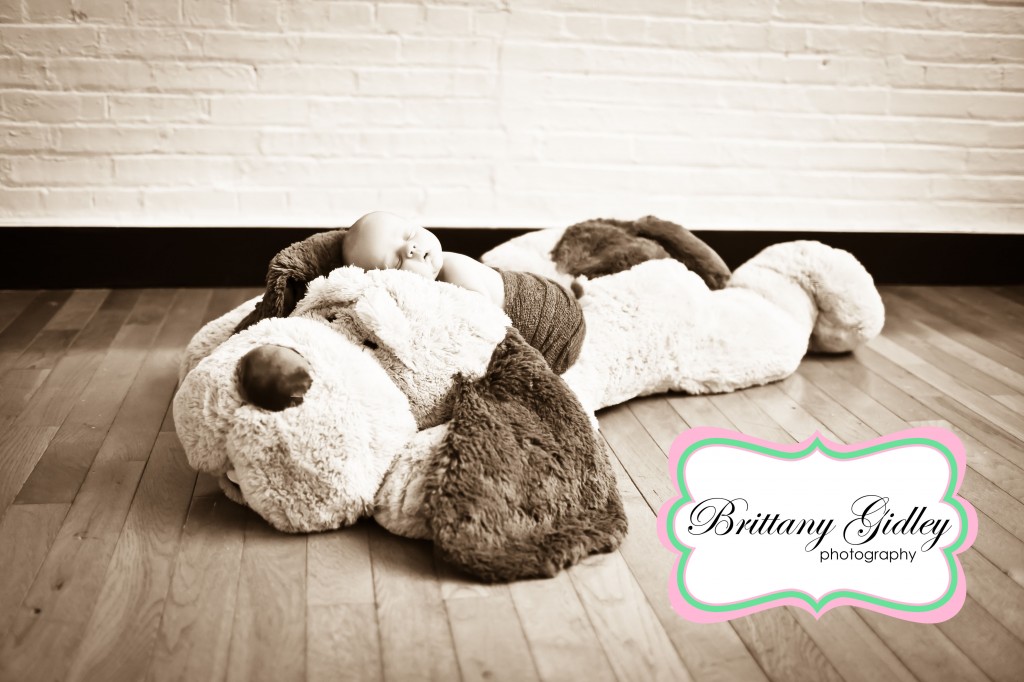 Newborn With Dog | Brittany Gidley Photography LLC Newborn With Dog | Brittany Gidley Photography LLC