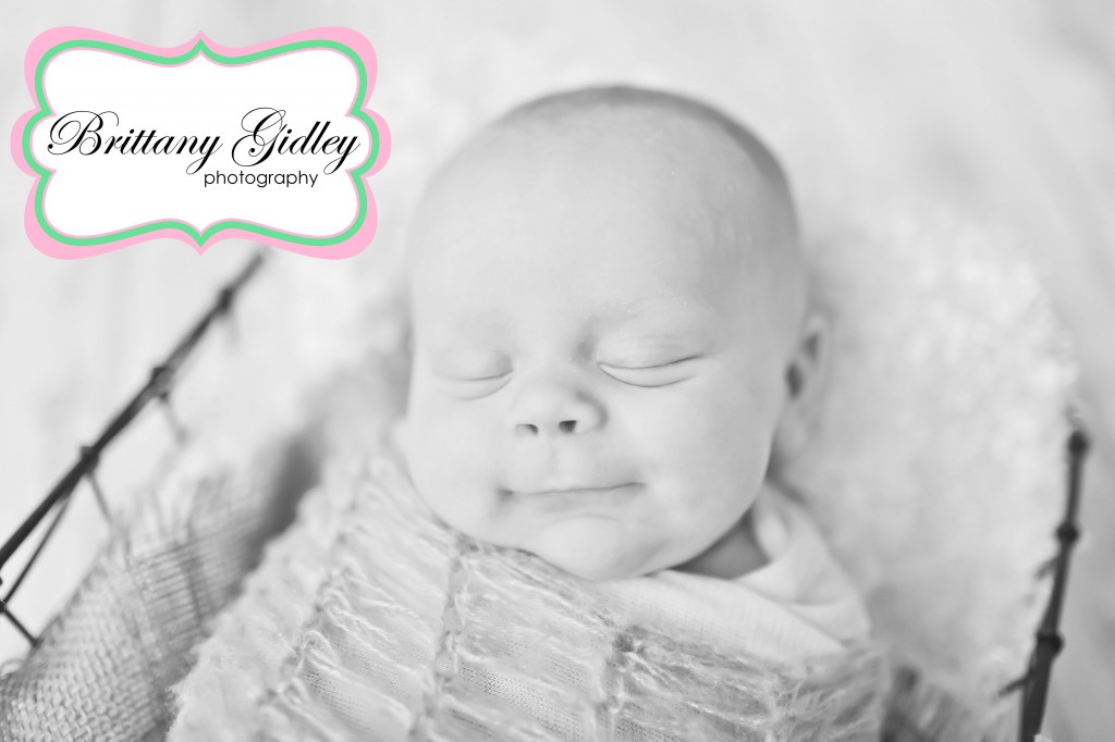 Cleveland Photography | Brittany Gidley Photography LLC Cleveland Photography | Brittany Gidley Photography LLC