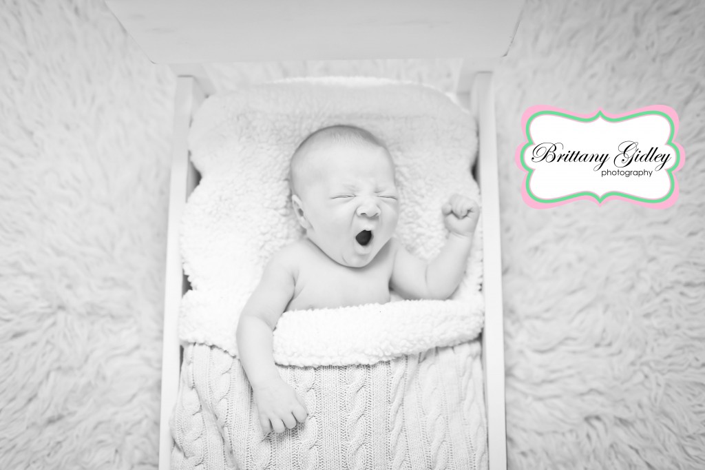 Newborn Photographer | Brittany Gidley Photography LLC Newborn Photographer | Brittany Gidley Photography LLC