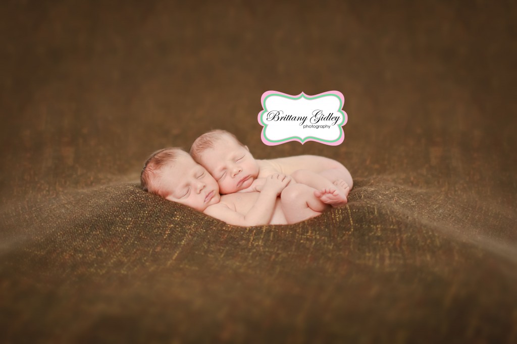 Twin Newborn Posing | Brittany Gidley Photography LLC Twin Newborn Posing | Brittany Gidley Photography LLC