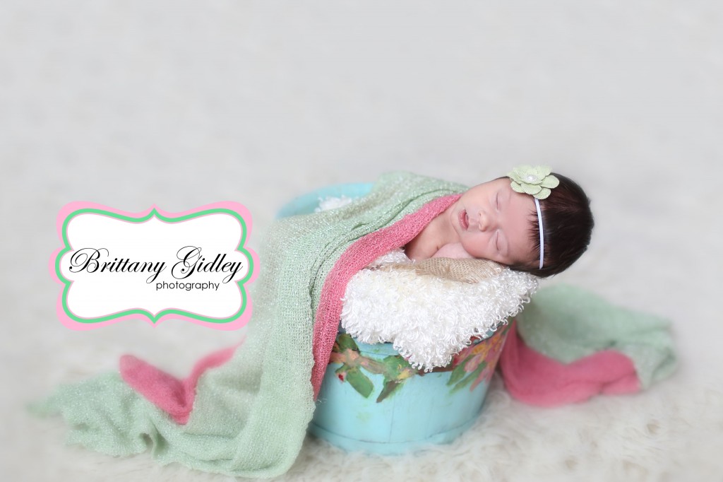 Professional Newborn Baby Photographer | Brittany Gidley Photography LLC Professional Newborn Baby Photographer | Brittany Gidley Photography LLC