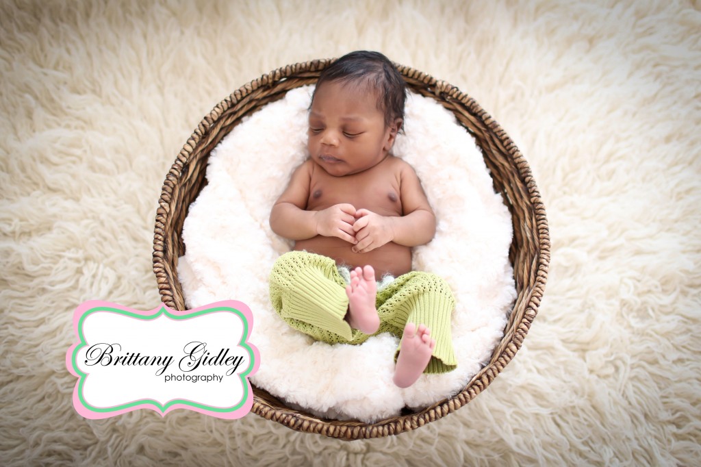 Best Newborn Photographers | Brittany Gidley Photography LLC