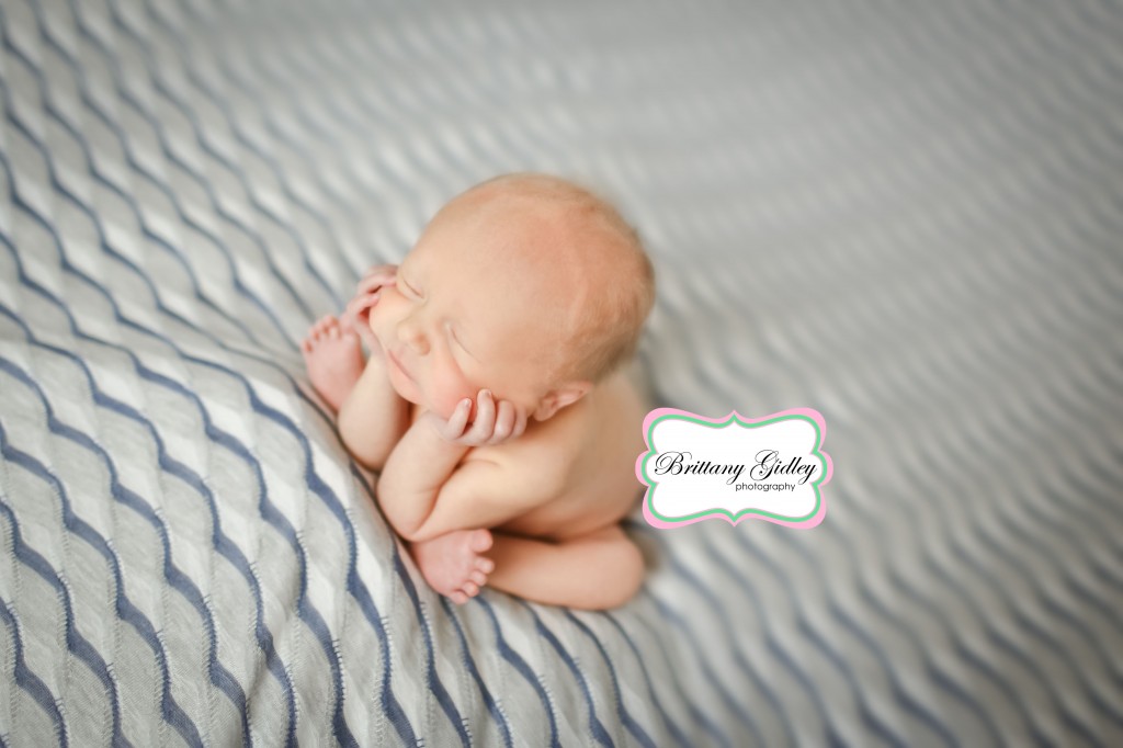 Cleveland Photographer | Brittany Gidley Photography LLC Cleveland Photographer | Brittany Gidley Photography LLC