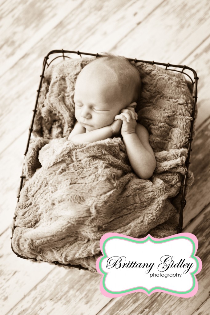 Newborn | Brittany Gidley Photography LLC Newborn | Brittany Gidley Photography LLC