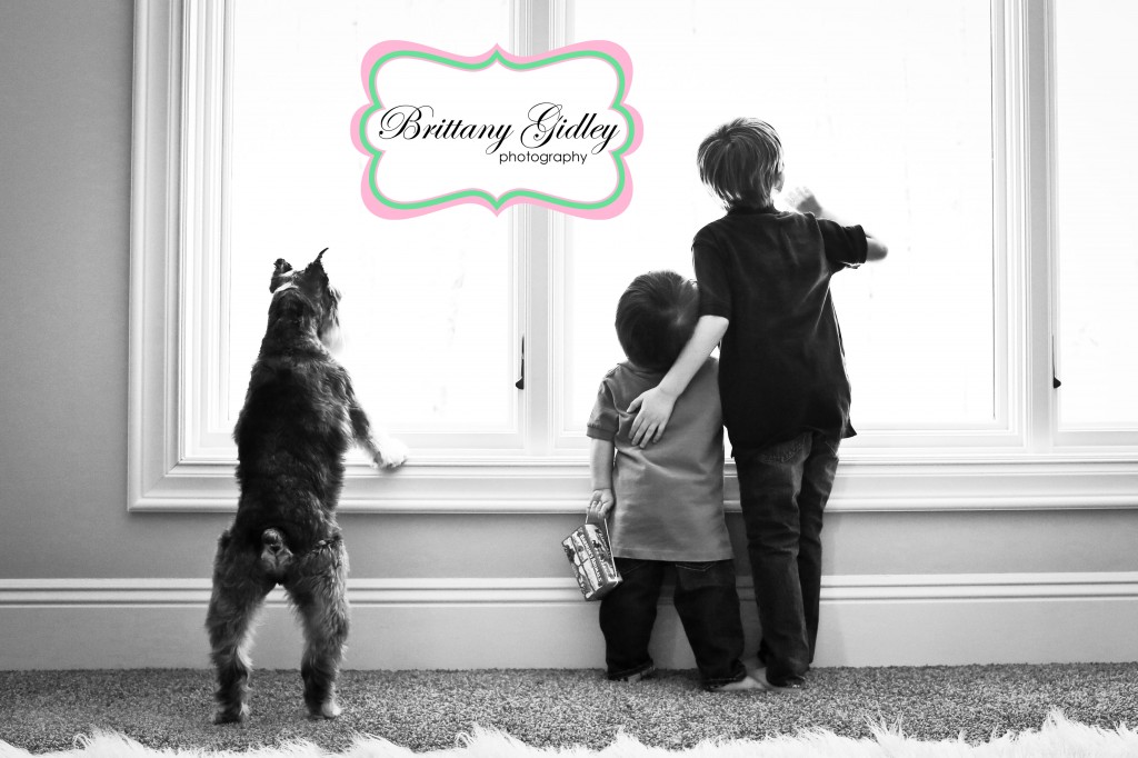 Dog Window | Brittany Gidley Photography LLC Dog Window | Brittany Gidley Photography LLC