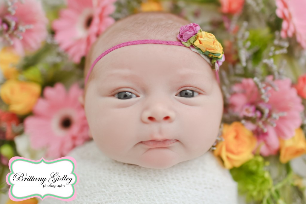 Newborn Baby | Brittany Gidley Photography LLC