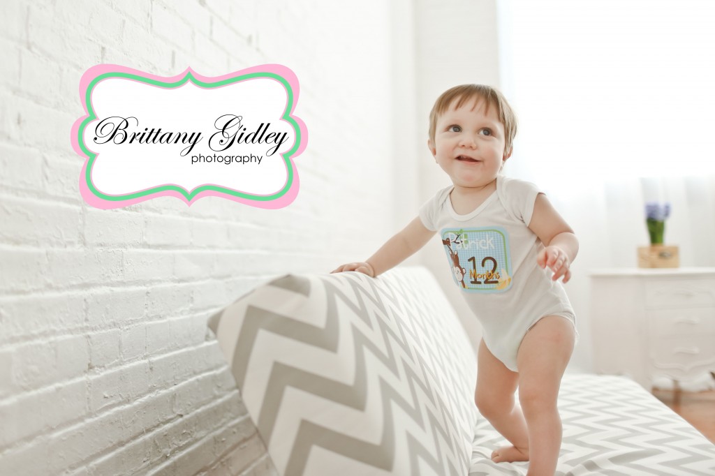 12 Month Ideas | Brittany Gidley Photography LLC 12 Month Ideas | Brittany Gidley Photography LLC