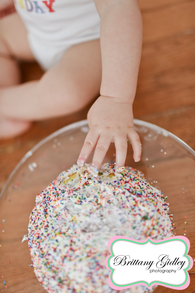 12 Month Cake Smash | Brittany Gidley Photography LLC 12 Month Cake Smash | Brittany Gidley Photography LLC