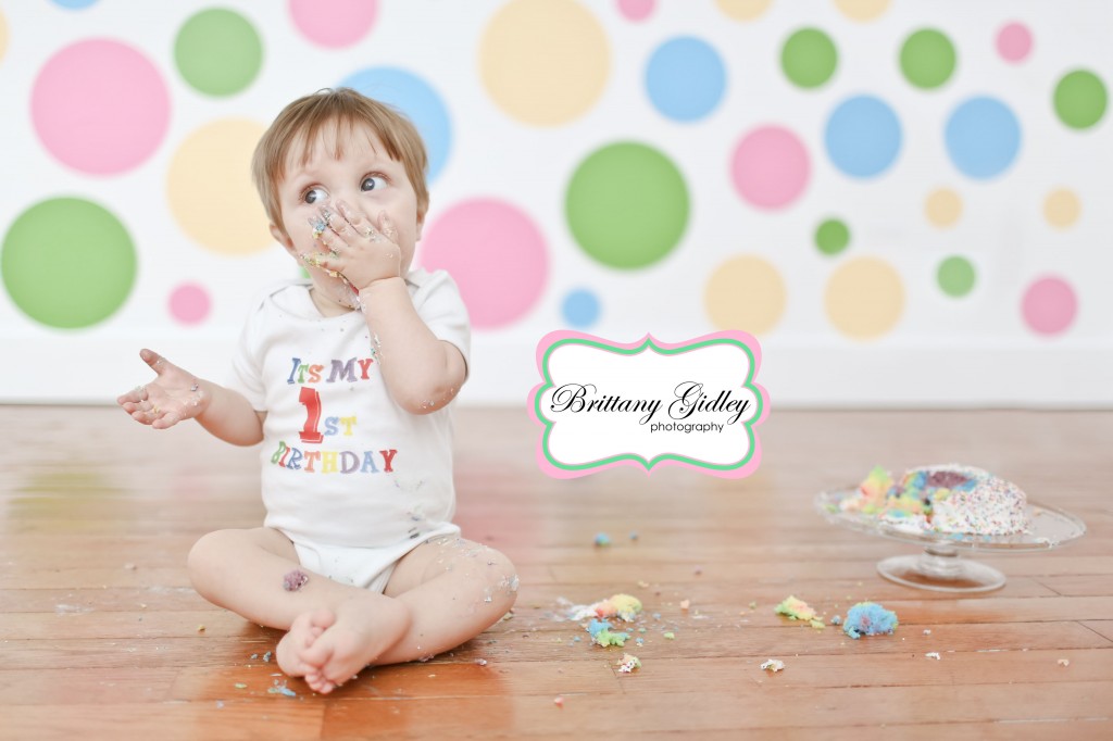 One Year Photos | Brittany Gidley Photography LLC One Year Photos | Brittany Gidley Photography LLC