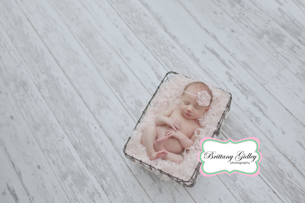 Newborn Pictures | Brittany Gidley Photography LLC