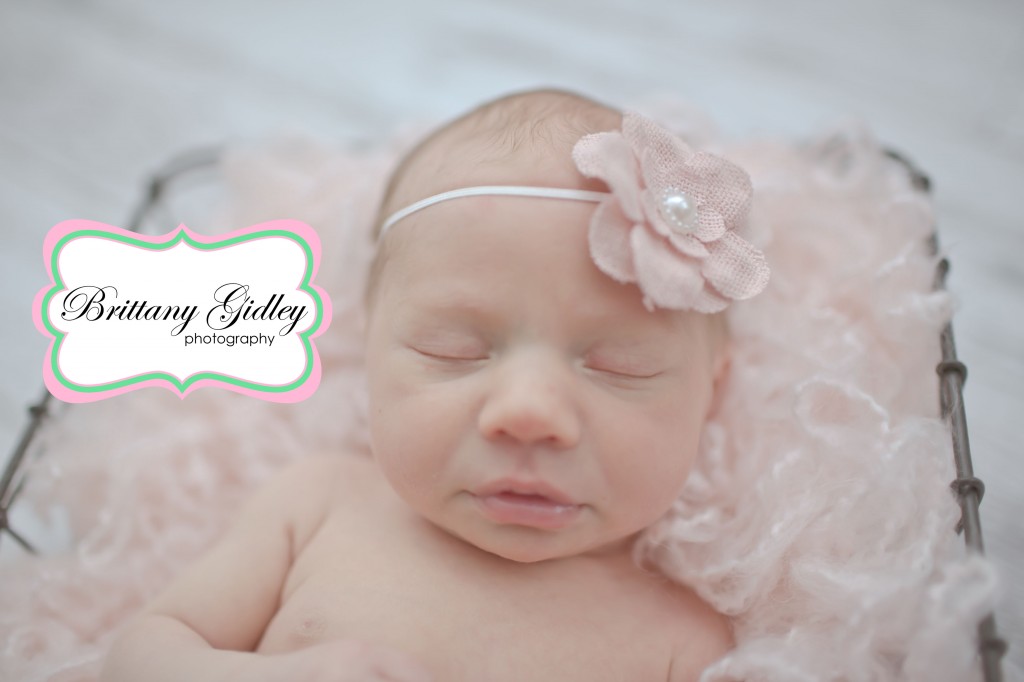 Neutral Newborn Photography | Brittany Gidley Photography LLC