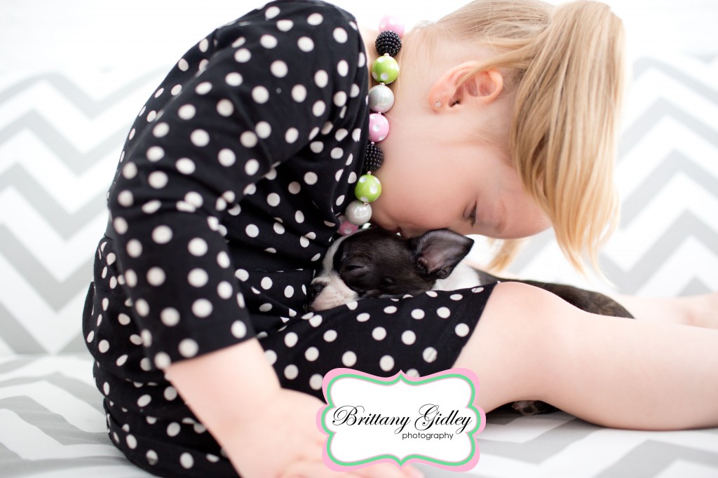 Puppy Kisses | Boston Terrier | Baby | Brittany Gidley Photography LLC