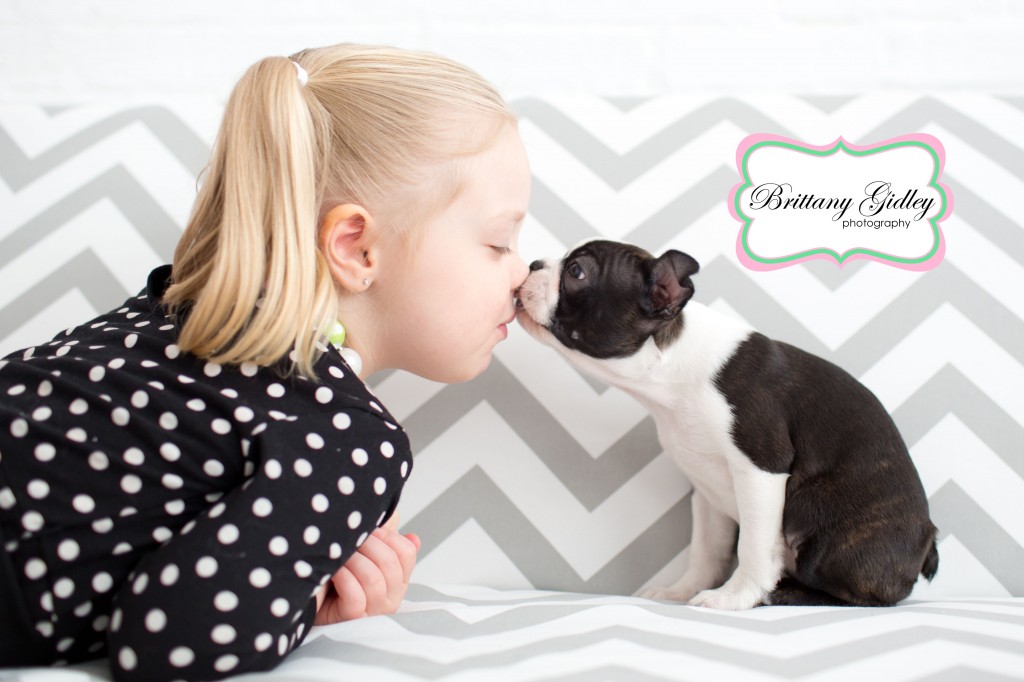 Puppy Kisses | Boston Terrier | Baby | Brittany Gidley Photography LLC