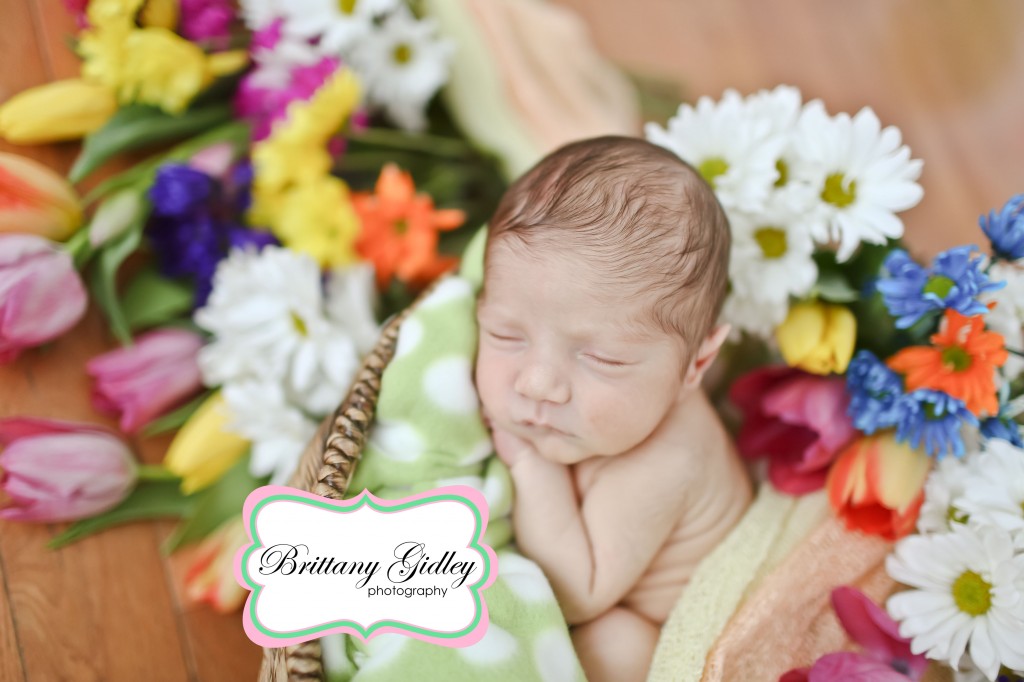 Spring Baby | Newborn Baby | Brittany Gidley Photography LLC Spring Baby | Newborn Baby | Brittany Gidley Photography LLC