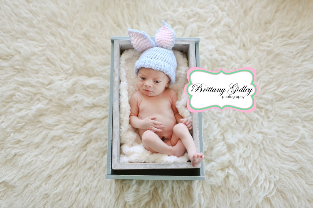 Easter Newborn | Brittany Gidley Photography LLC Easter Newborn | Brittany Gidley Photography LLC