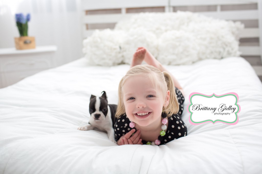Boston Terrier Puppy | Brittany Gidley Photography LLC