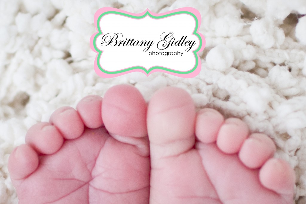 Newborn Specialist | Brittany Gidley Photography LLC