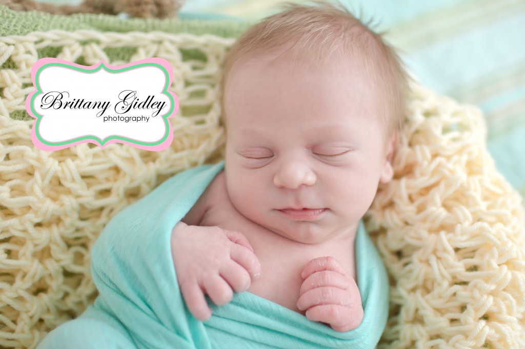Basket Newborn | Brittany Gidley Photography LLC
