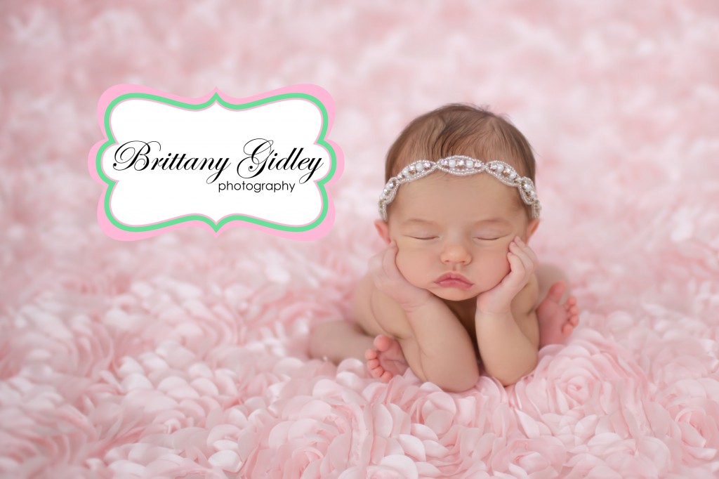 Cleveland Baby and Newborn Photography| Brittany Gidley Photography LLC