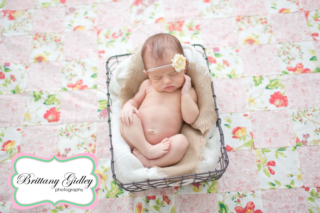 Cleveland Newborn Photographer| Brittany Gidley Photography LLC