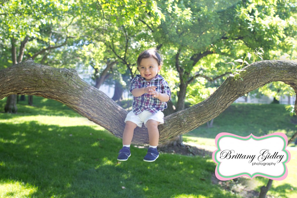 Baby Photography | 1 year | 12 Months | Brittany Gidley Photography LLC