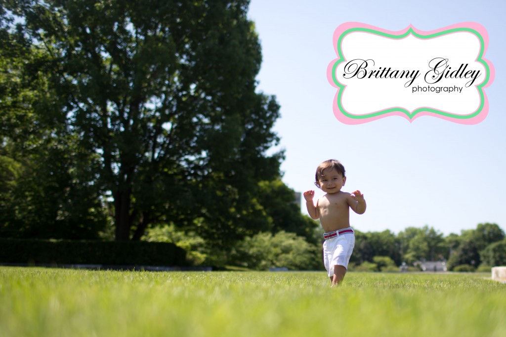 Baby Photographer | 1 year | 12 Months | Brittany Gidley Photography LLC