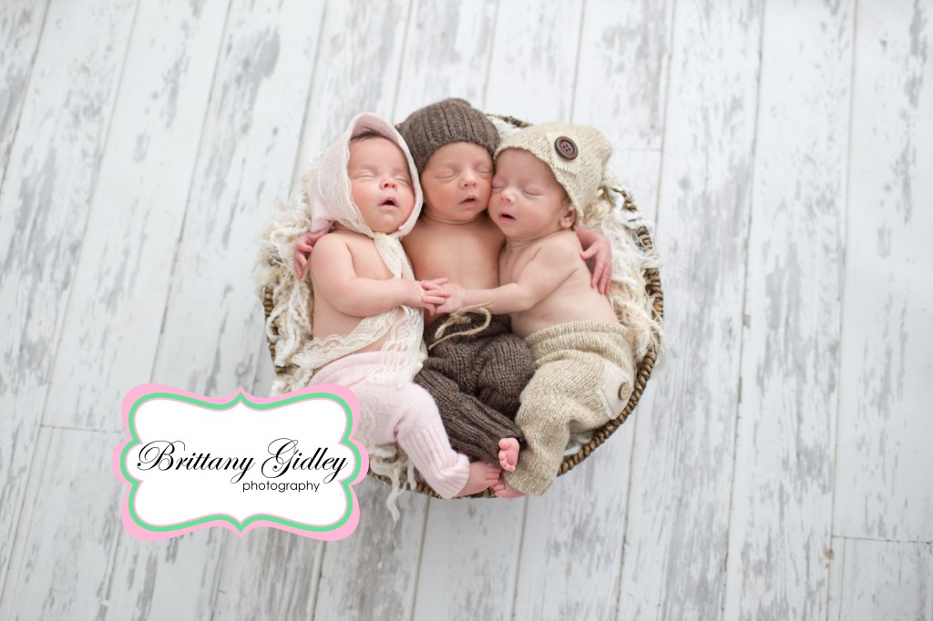 Triplet Photography | Newborn Triplets | Newborn Triplet Photography | Newborn Triplet Photographer | Cleveland Triplet Photographer | Brittany Gidley Photography LLC