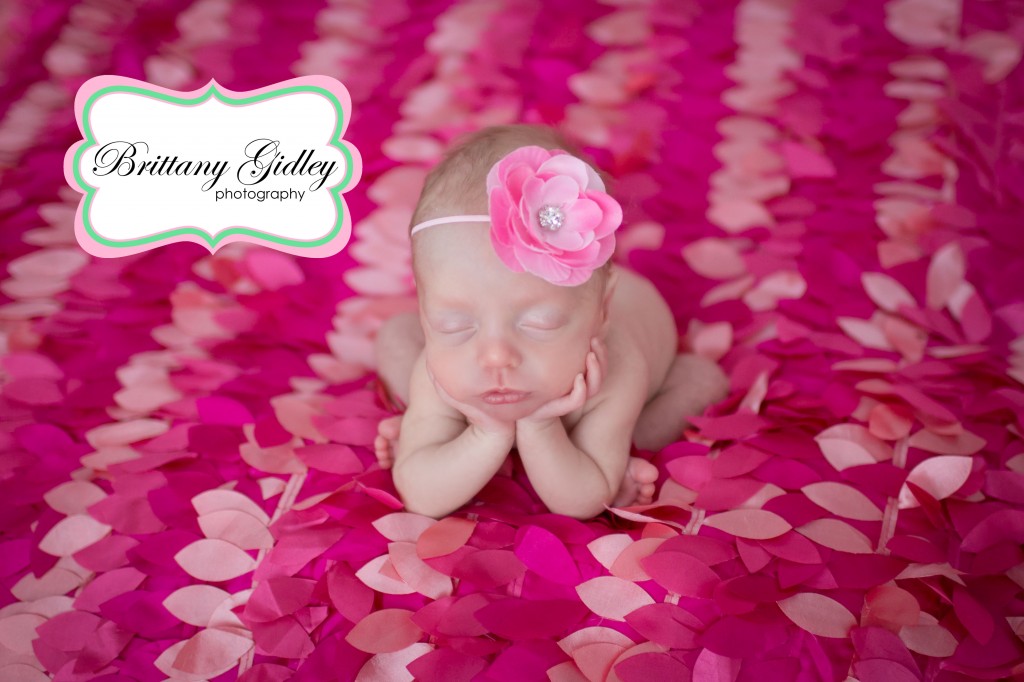 Newborn Portrait Session | Froggy Pose | Prop Up Pose | Brittany Gidley Photography LLC