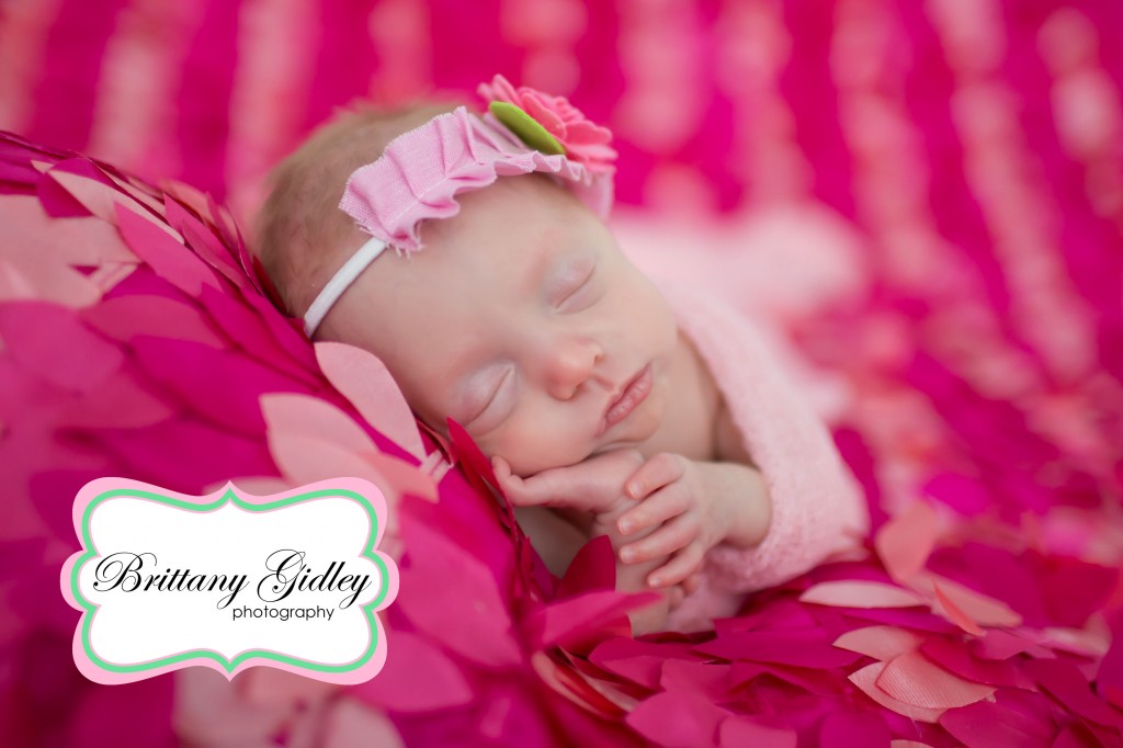 Newborn Portrait Session | Taco Pose | Prop Up Pose | Brittany Gidley Photography LLC