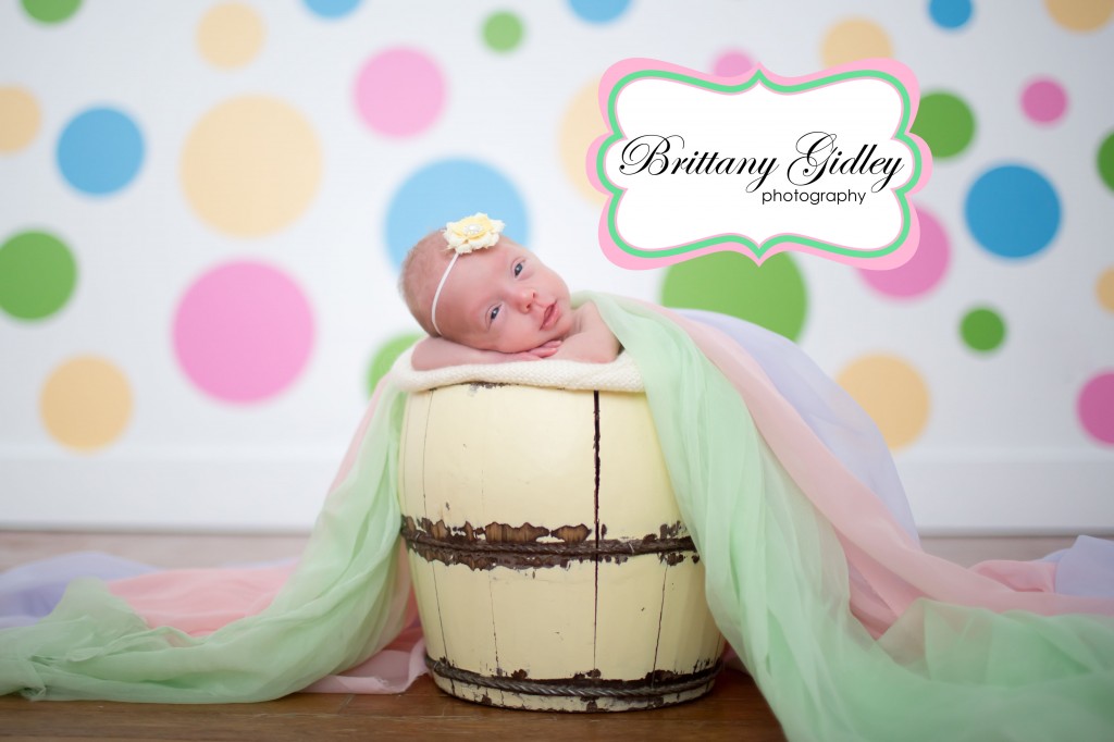 Newborn Portrait Session | Bucket Pose | Prop Up Pose | Brittany Gidley Photography LLC