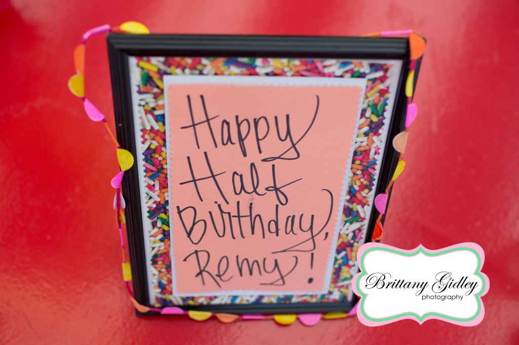 Happy Birthday Remy | Brittany Gidley Photography LLC