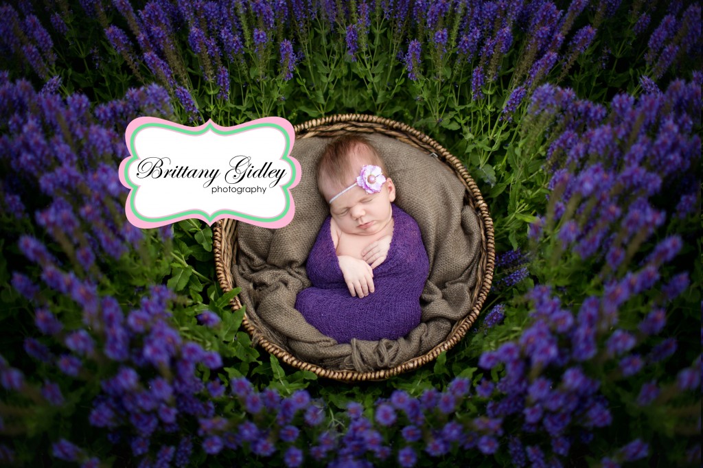 Newborn Baby | Flowers | Purple | Newborn Session | Outdoors | Brittany Gidley Photography LLC