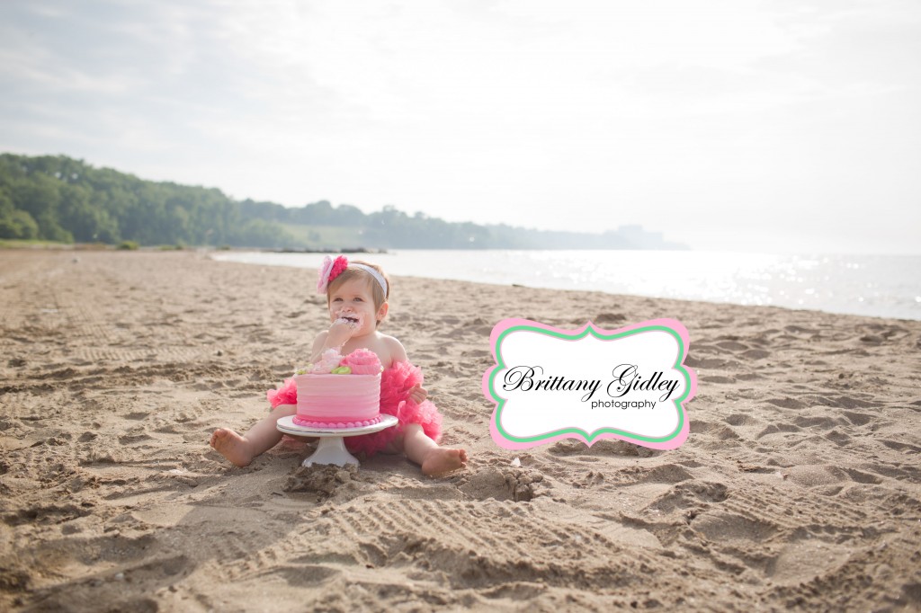 One Year Cake Smash | Brittany Gidley Photography LLC