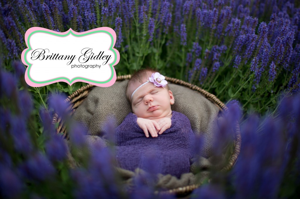 Newborn Baby | Flowers | Purple | Newborn Session | Outdoors | Brittany Gidley Photography LLC